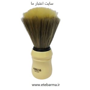 فرچه ریش
